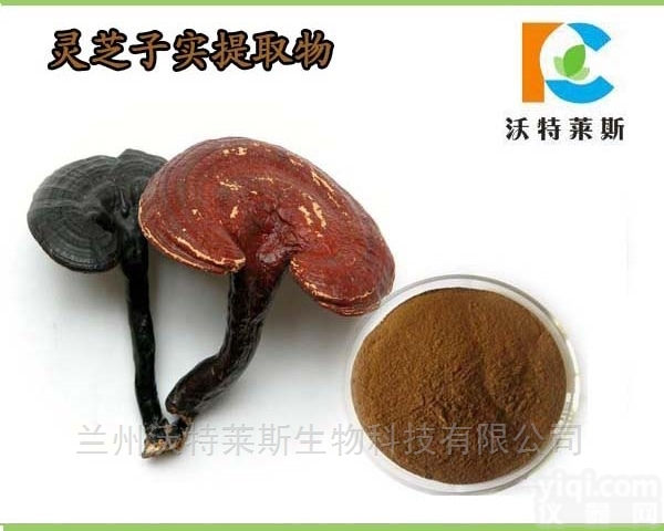 粉末  破壁<em>灵芝</em><em>孢子粉</em> 厂家直销1公斤包邮