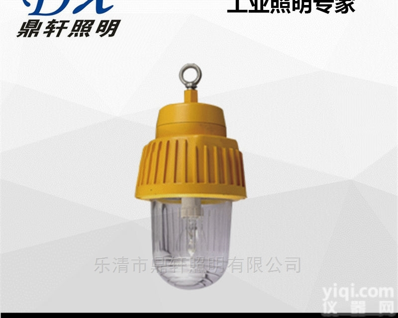 BYC1012  BYC1012船舶防爆<em>泛光灯</em><em>金卤灯</em>钠灯节能灯