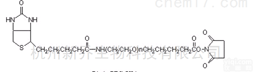 聚乙二醇<em>衍生物</em>  Biotin-PEG-SVA MW:2000 <em>修饰</em>性PEG
