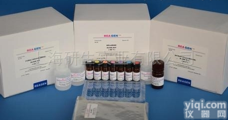 人抗<em>基底</em>节自身<em>抗体</em>BG酶联检测试剂盒品Pai