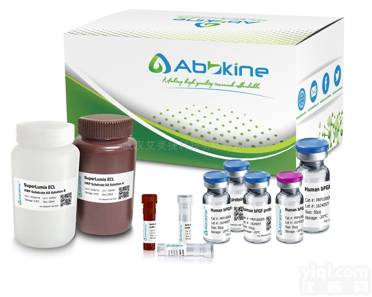 BMD00033  6-<em>TAMRA</em>, <em>succinimidyl</em> <em>ester</em>