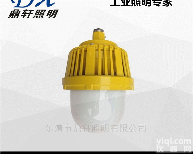 RDB98-Z  RDB98-Z防爆防眩<em>泛光灯</em>50W吸顶式<em>安装</em>