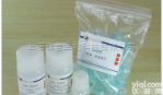 BeyoRT™ <em>cDNA</em>*链<em>合成</em>试剂盒