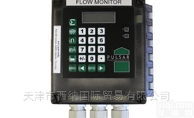 英国Pulsar <em>Process</em><em>流量计</em>