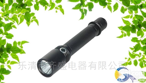 <em>EB8012</em>  <em>EB8012</em><em>手持式</em><em>聚光</em>探射灯展销