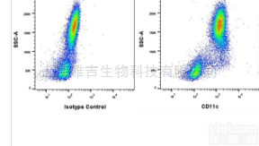 <em>卵巢</em><em>特异性</em><em>酸性</em>蛋白抗体说明书