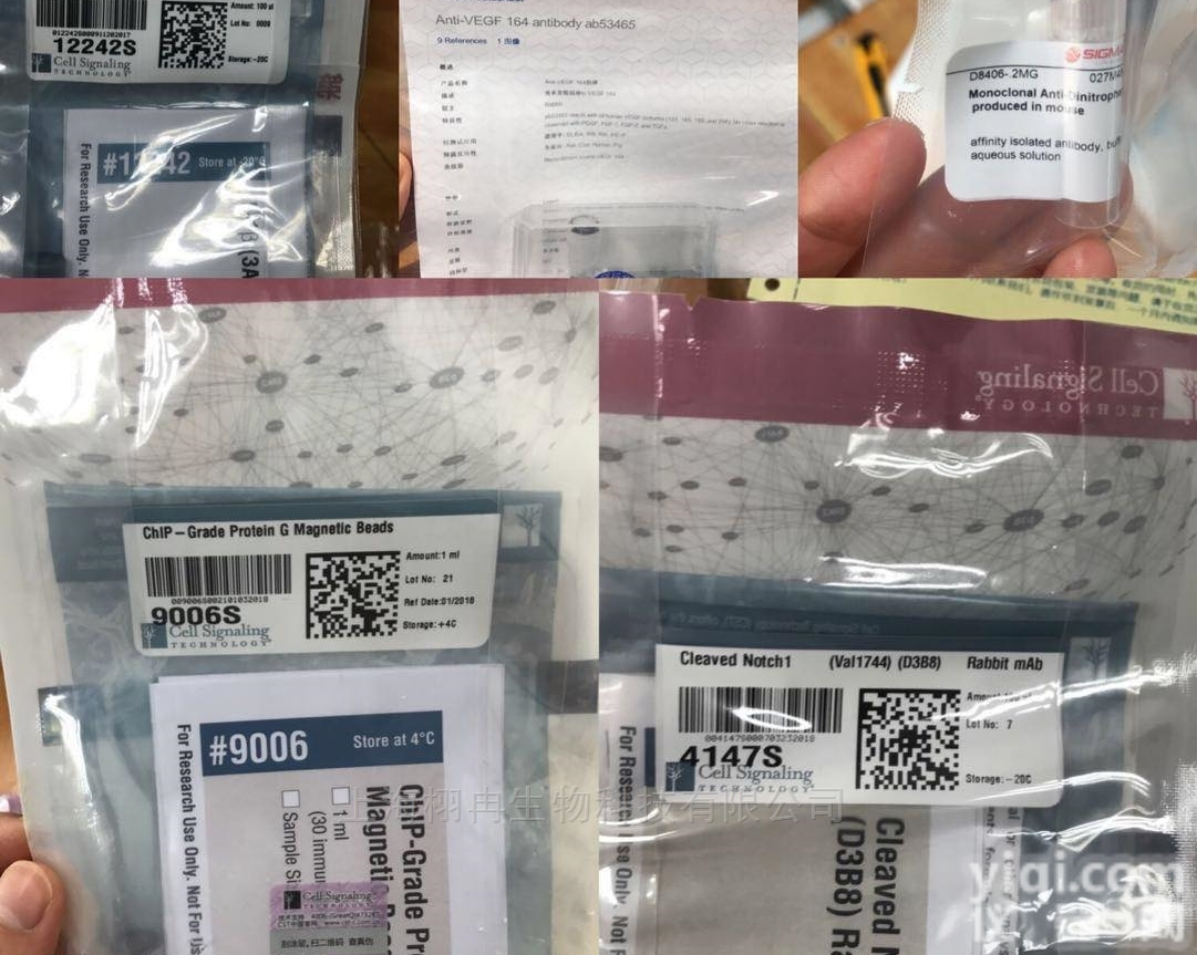 SIGMA  SIGMA抗体，价格低，质量好，SIGMA<em>现货</em>