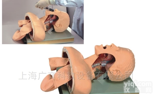高级<em>气管</em><em>插管</em>训练模型（带<em>报警</em>）
