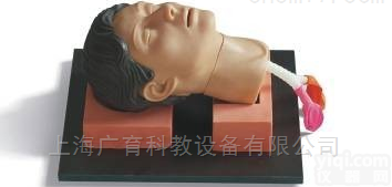 环甲膜<em>穿刺</em>和<em>切开</em>训练仿真模型