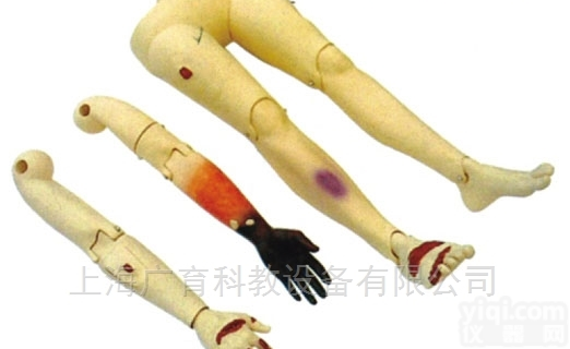 高级<em>创伤</em><em>四肢</em><em>模型</em>