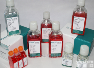 北京哪家做<em>细胞</em>  人微血管内皮<em>细胞</em>株/<em>HMEC</em>-1现货科研专用