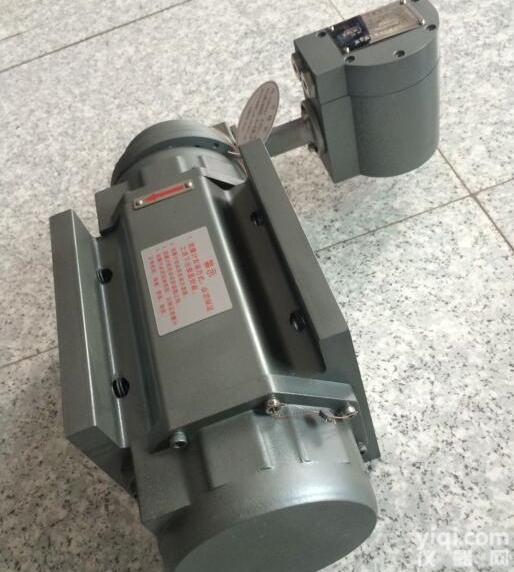 <em>天然气罗茨计量表</em>