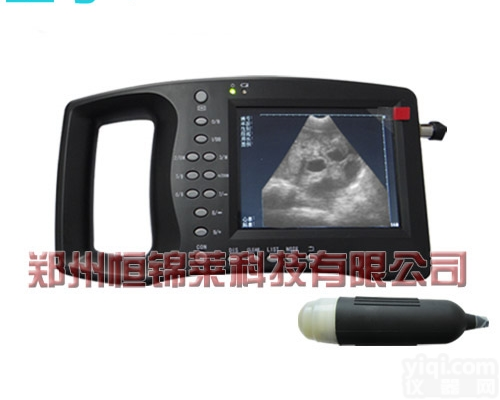 猪场专用<em>便携式兽用B超机</em>