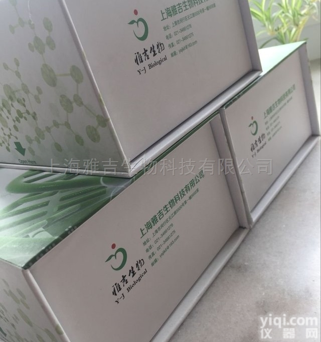 （TAP）  人抗原提呈相关转运<em>蛋白</em>T<em>细胞</em>Elisa<em>试剂盒</em>