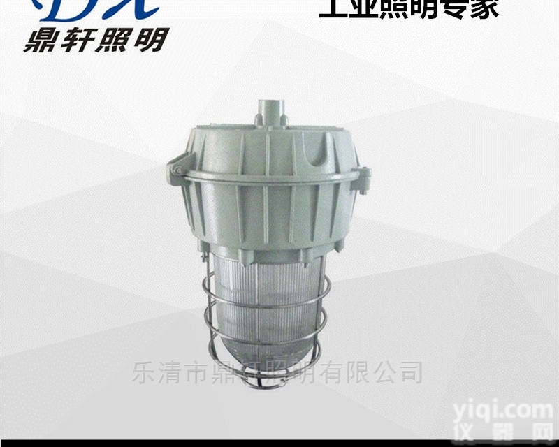 CBD82  CBD82<em>隔爆型</em>防爆灯50W<em>无极</em>灯