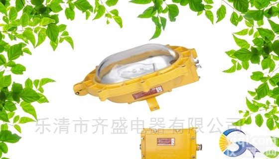 <em>配电间</em>BFC8120-150防爆内场强光泛光灯