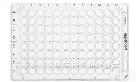 德国艾本德Eppendorf<em>细胞培养</em>板
