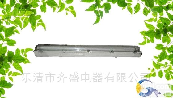 <em>BCX6225</em>  <em>BCX6225</em><em>粉尘</em>防爆防腐单管<em>荧光灯</em>/正辉