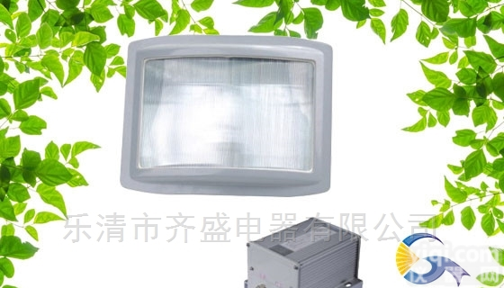 齐盛<em>EBF308</em>应急通<em>路灯</em>价格