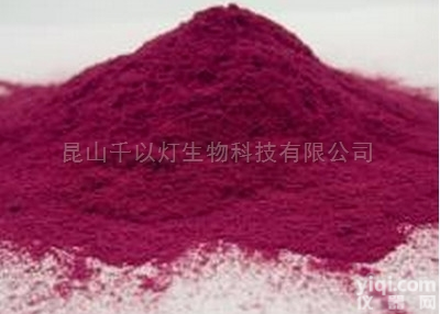 80目 0%广州长沙  小叶榕<em>浸膏粉</em>植物<em>提取物</em>用途