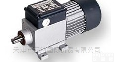 <em>意大利</em>MINI MOTOR直流电机