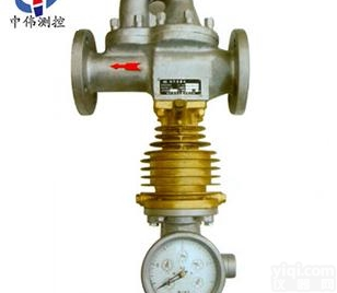 ZW-LFX  旋翼<em>指针式</em><em>蒸汽</em><em>流量计</em>