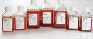 兔抗<em>小鼠</em><em>IgG</em> （H+L） （<em>小鼠</em><em>IgG</em><em>亲和</em>纯）保存