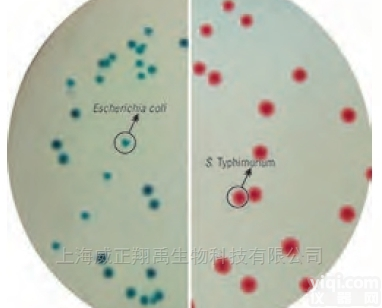 M1466  <em>沙门氏菌</em><em>显色</em><em>培养基</em>（鉴别增强型）