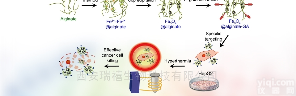 1  811-98-3，Methanol-D4 <em>氘代甲醇</em>，甲醇-D4