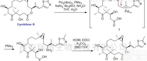1  <em>奥拉</em><em>帕尼</em> Olaparib CAS:<em>763113</em>-22-0 价格