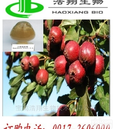 <em>山楂果</em>提取/山楂总黄酮