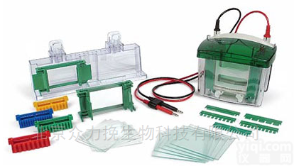 <em>伯乐</em><em>电泳槽</em>Mini-PROTEAN Tetra