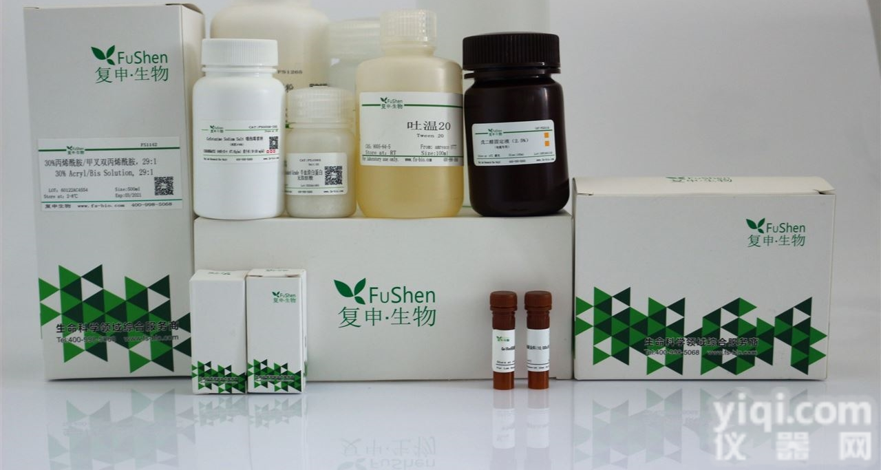 FS1234  DAF-FM DA<em>一氧化氮</em><em>荧光探针</em>（细胞染色）