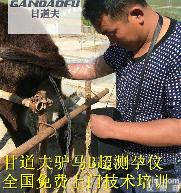 内蒙古驴马动物B超厂家今日<em>报价</em><em>价格表</em>