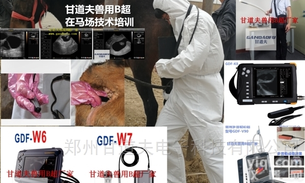 马用B超发情测孕仪<em>厂家</em>价格表<em>报价</em><em>多少</em>钱