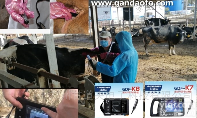 <em>牛场采购牛用B超哪家便宜价格报价</em>多少钱