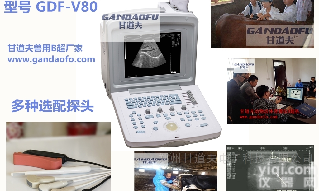 羊用背膘<em>眼肌</em><em>测定仪</em>B超价格，羊用B超背膘仪