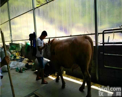 带<em>围栏</em>畜牧<em>电子秤</em>1吨2吨3吨动物称重<em>磅秤</em>