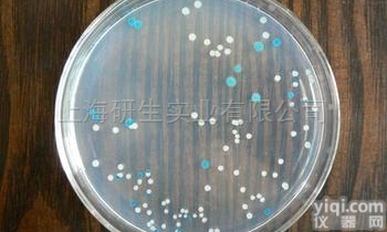 <em>植物</em>（<em>大豆</em>）<em>蛋白胨</em>