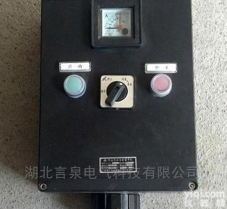 <em>水泥厂</em>专用FZC-S-A2B1K1G三防操作<em>控制箱</em>