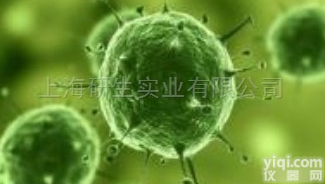 人<em>扁桃体</em><em>上皮</em><em>细胞</em>，HTECL<em>细胞</em>