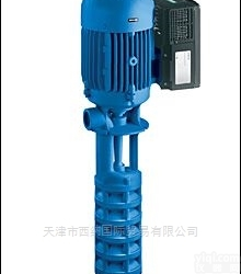 <em>德国</em>布曼<em>BRINKMANN</em><em>高压泵</em>