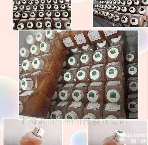 Gibco胎牛<em>血清</em>10099-141|<em>澳洲</em>源|<em>优等</em>