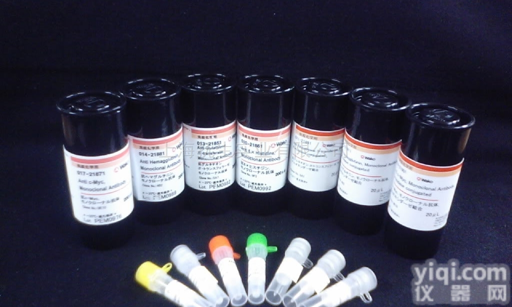 干扰素alpha<em>诱导</em>蛋白6抗体