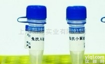 小鼠抗<em>单克隆</em>抗体