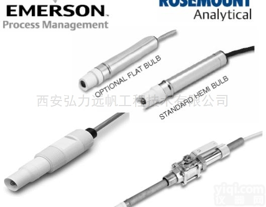 96P-01-10-50  <em>罗斯蒙特</em>396浸没式<em>插入式</em>pH/ORP电极传感器