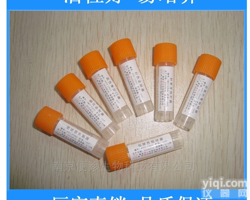 <em>冻干粉</em>  标准<em>菌株</em>