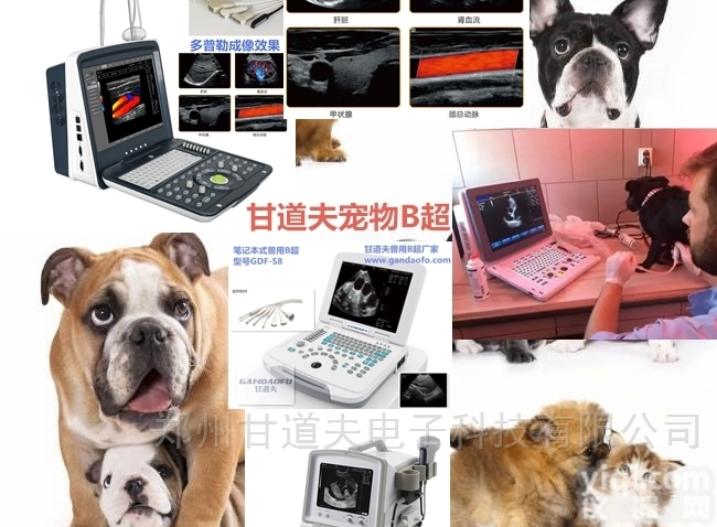 <em>招标</em>采购小动物B超报价宠物B超新<em>价格表</em>