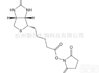 点击化学  35013-72-0 Biotin-<em>NHS</em> Ester<em>生物</em>素化试剂