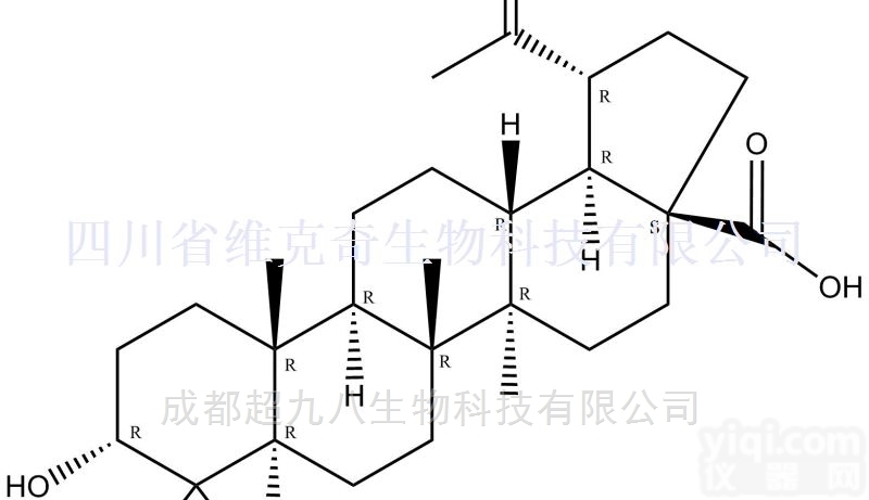 <em>38736</em>-77-5  表<em>白桦</em>脂酸 <em>38736</em>-77-5直供现货标准品